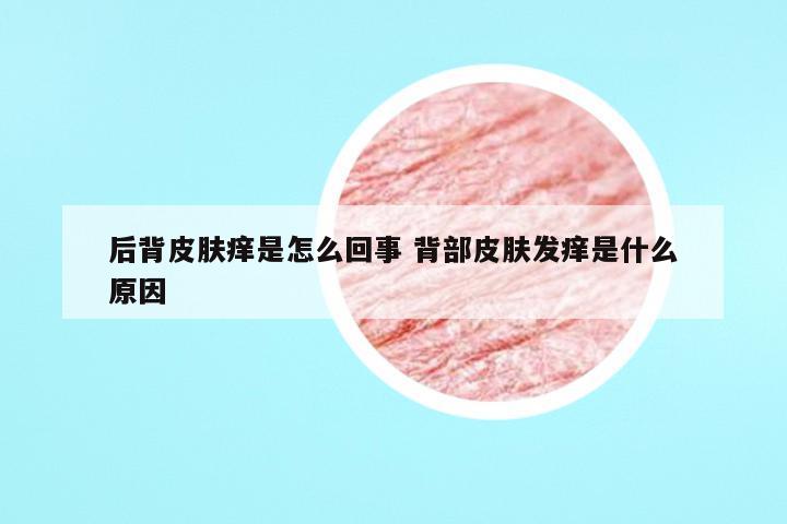 后背皮肤痒是怎么回事 背部皮肤发痒是什么原因