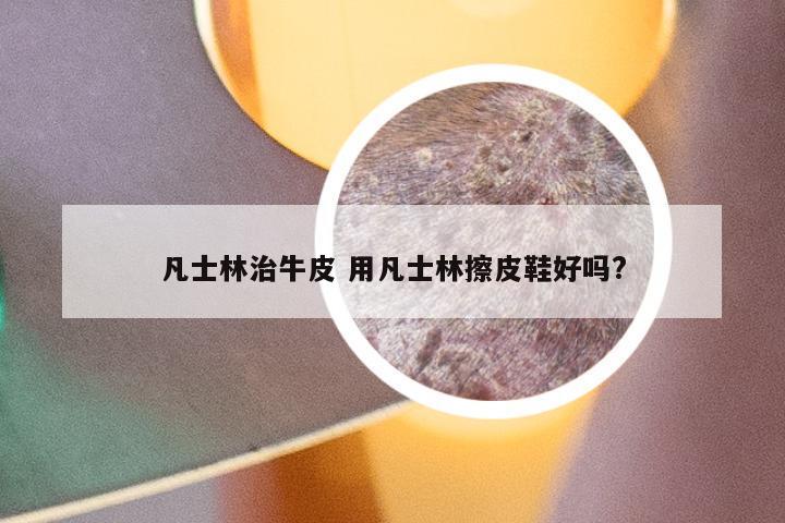 凡士林治牛皮 用凡士林擦皮鞋好吗?