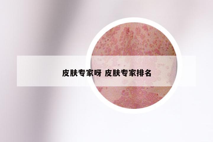 皮肤专家呀 皮肤专家排名