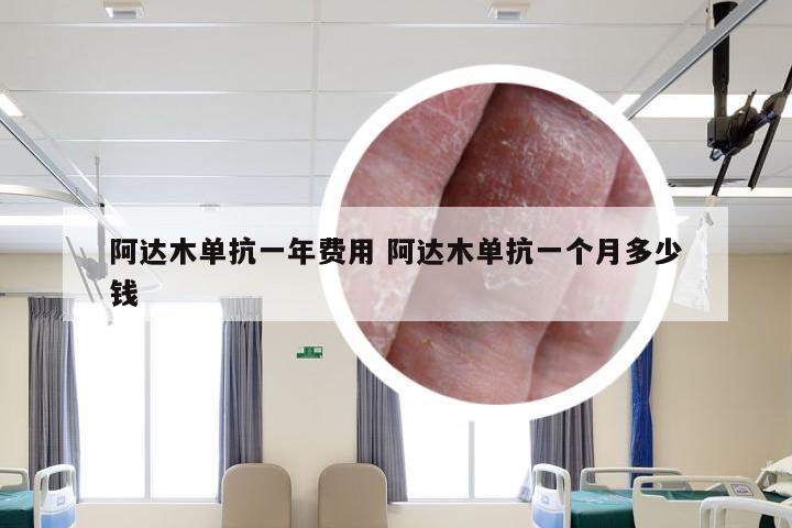 阿达木单抗一年费用 阿达木单抗一个月多少钱