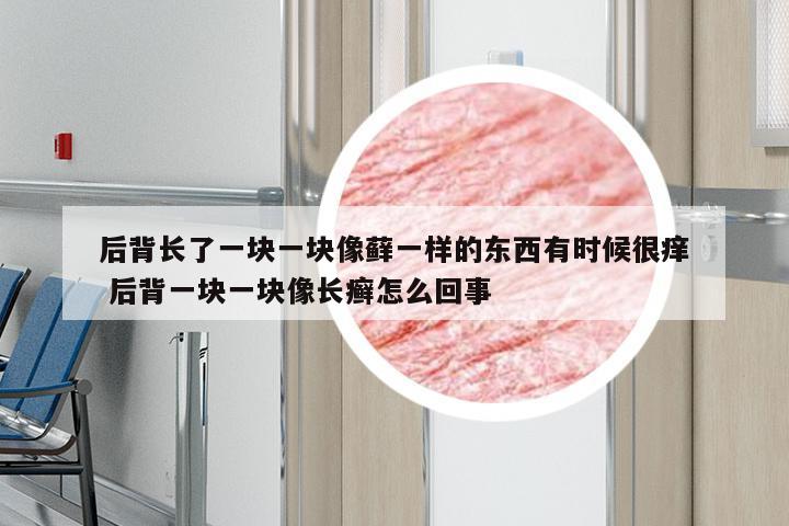 后背长了一块一块像藓一样的东西有时候很痒 后背一块一块像长癣怎么回事