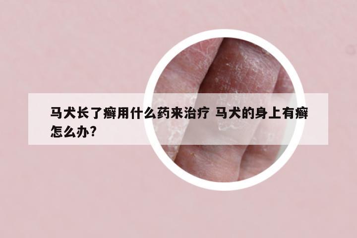 马犬长了癣用什么药来治疗 马犬的身上有癣怎么办?