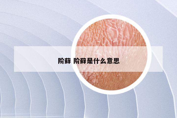 阶藓 阶藓是什么意思