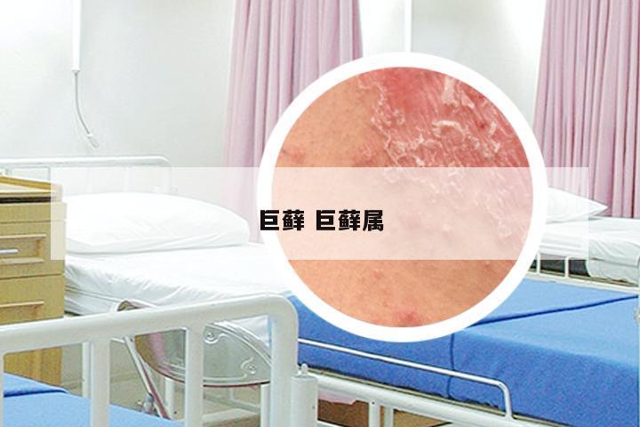 巨藓 巨藓属