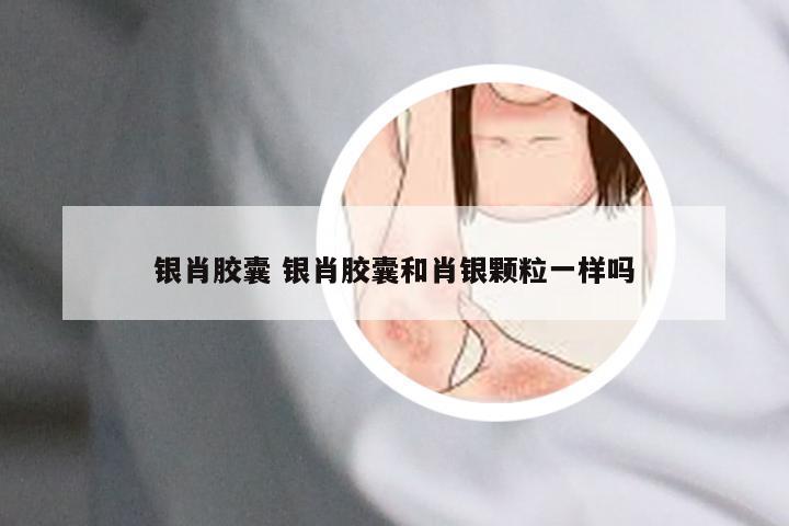 银肖胶囊 银肖胶囊和肖银颗粒一样吗