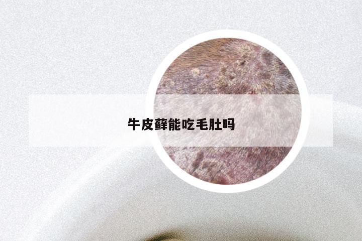 牛皮藓能吃毛肚吗