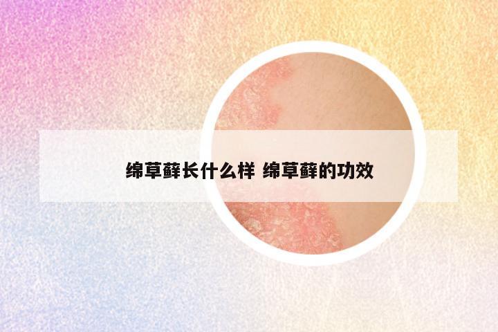 绵草藓长什么样 绵草藓的功效