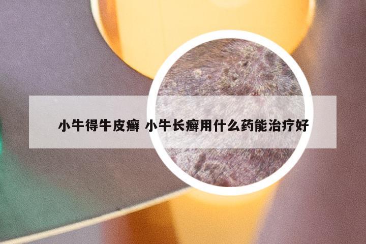 小牛得牛皮癣 小牛长癣用什么药能治疗好
