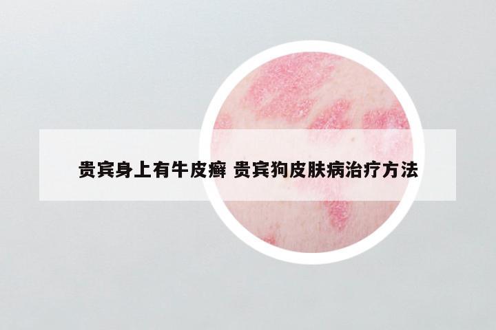 贵宾身上有牛皮癣 贵宾狗皮肤病治疗方法