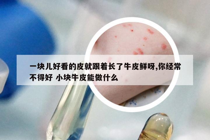 一块儿好看的皮就跟着长了牛皮鲜呀,你经常不得好 小块牛皮能做什么